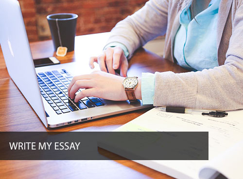 write my essay com free